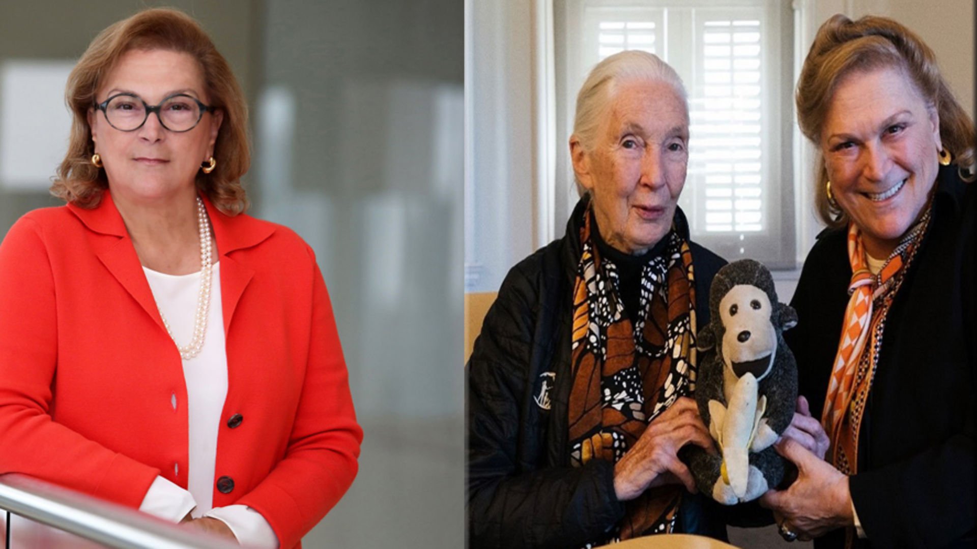 Jane’nin umut veren sözlerini hatırlamalıyız