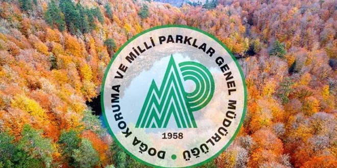 Doğa Koruma ve Milli Parklar Genel Müdürlüğü 13 sözleşmeli personel alacak Doğa Koruma ve Milli Parklar Genel Müdürlüğü 13 sözleşmeli personel alacak. Son başvuru tarihi 4 Kasım 2025 Doğa Koruma ve Milli Parklar Genel Müdürlüğü 13 sözleşmeli personel alacak Doğa Koruma ve Milli Parklar Genel Müdürlüğü 13 sözleşmeli personel alacak. Son başvuru tarihi 4 Kasım 2025