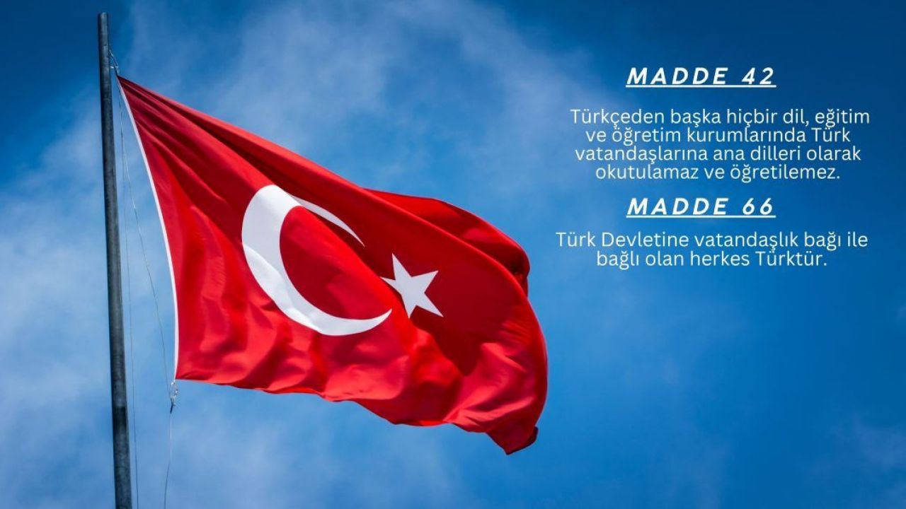 Talip Geylan: Ana dilde eğitim talebi, Anayasanın açık ihlalidir