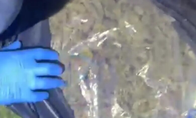 Muğla’da 4 Milyon TL Değerinde Uyuşturucu Ele Geçirildi Muğla’da 4 Milyon TL Değerinde Uyuşturucu Ele Geçirildi