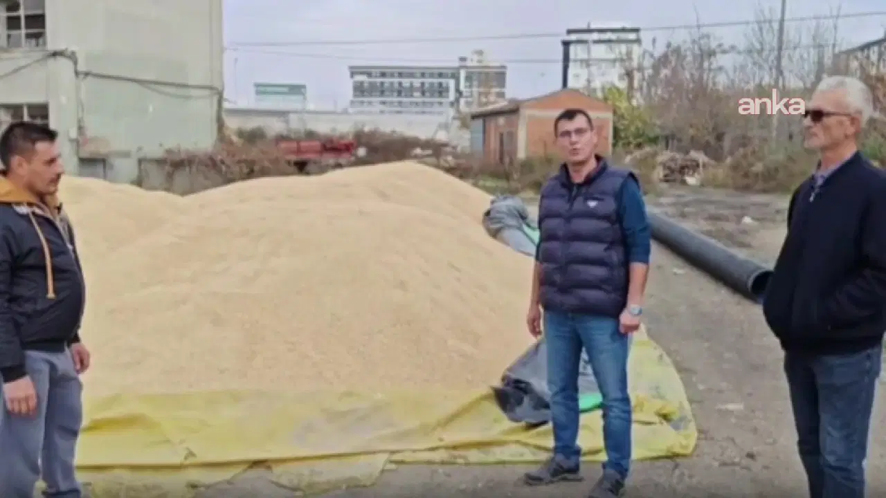 CHP’li Akgüngör’den TMO’ya çeltik alım fiyatı tepkisi: ‘Çiftçimizi desteklersek bu ülke var olur’ – Son Dakika Siyaset Haberleri CHP’li Akgüngör’den TMO’ya çeltik alım fiyatı tepkisi: ‘Çiftçimizi desteklersek bu ülke var olur’ – Son Dakika Siyaset Haberleri