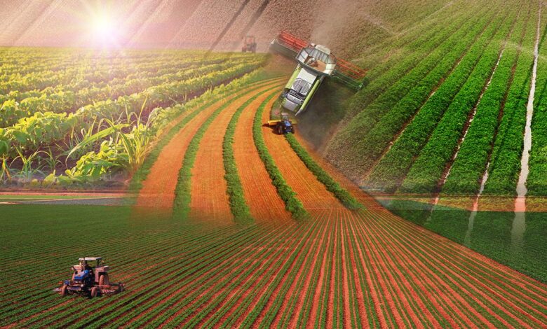 Türkiye tarımda 7 üründe dünya lideri Türkiye tarımda 7 üründe dünya lideri